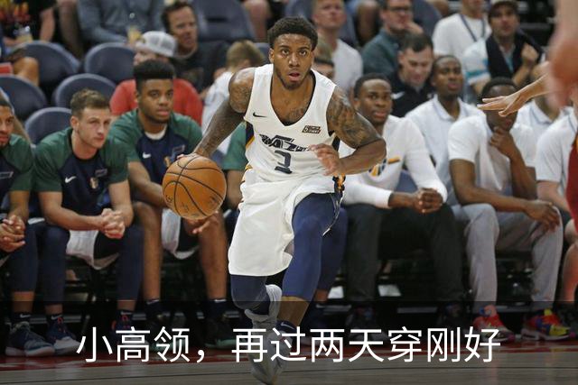 小高领，再过两天穿刚好